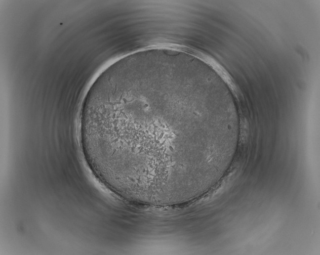 X0000111170955200907221025