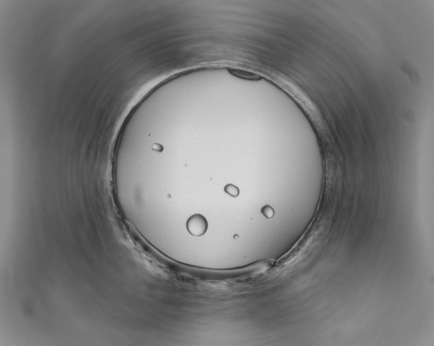 X0000111170956200907221025