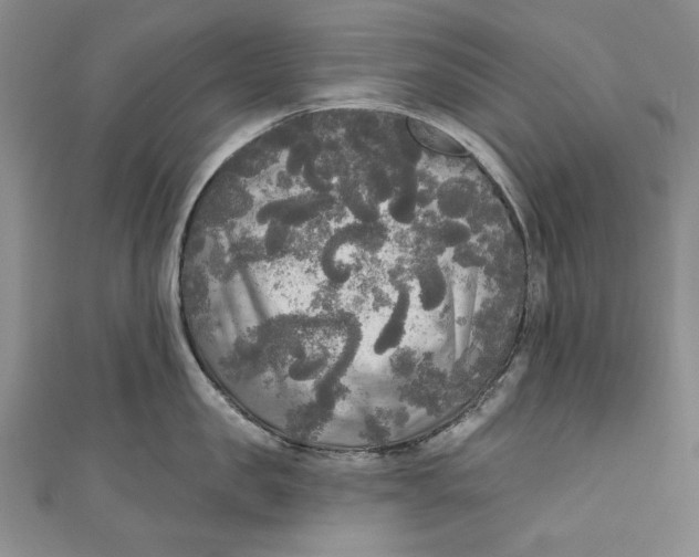 X0000111170957200907221025