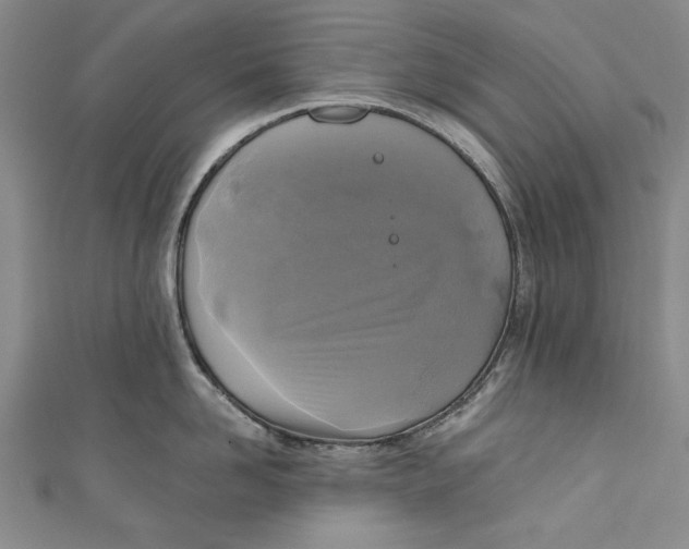 X0000111170958200907221025