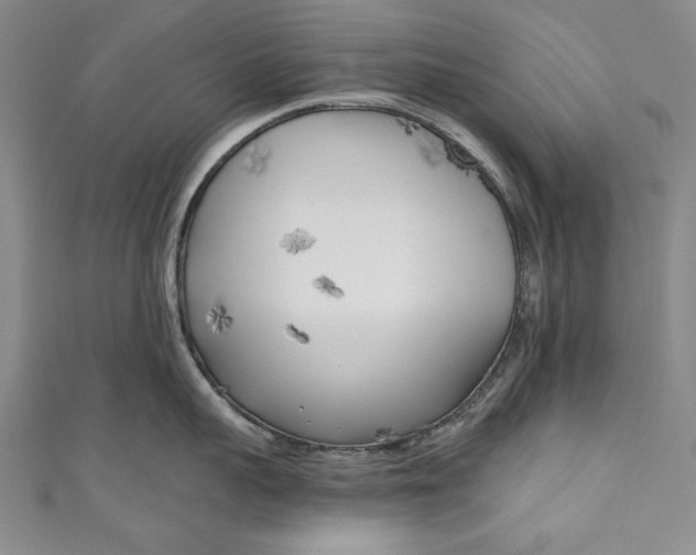 X0000111170959200907221025