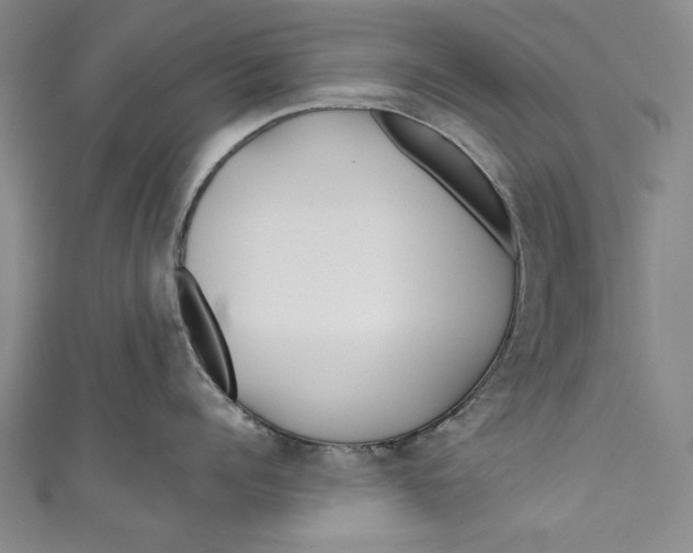 X0000111170960200907221025