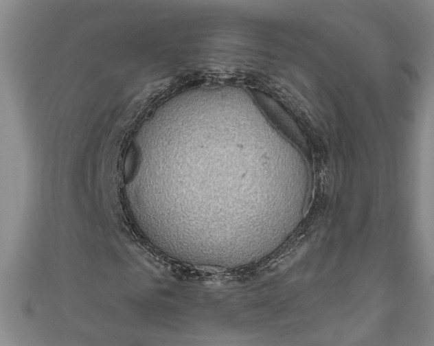 X0000111170961200907221025