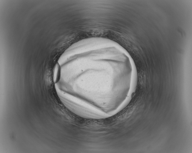 X0000111170962200907221025