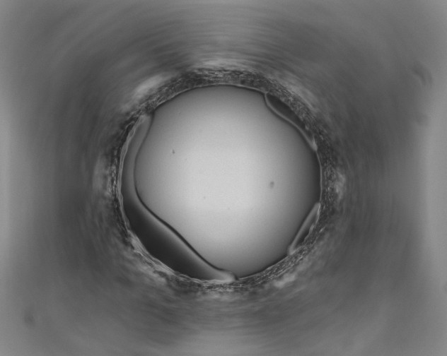 X0000111170965200907221025