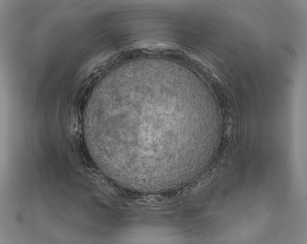 X0000111170966200907221025