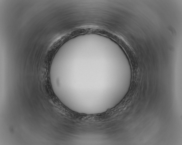 X0000111170967200907221025