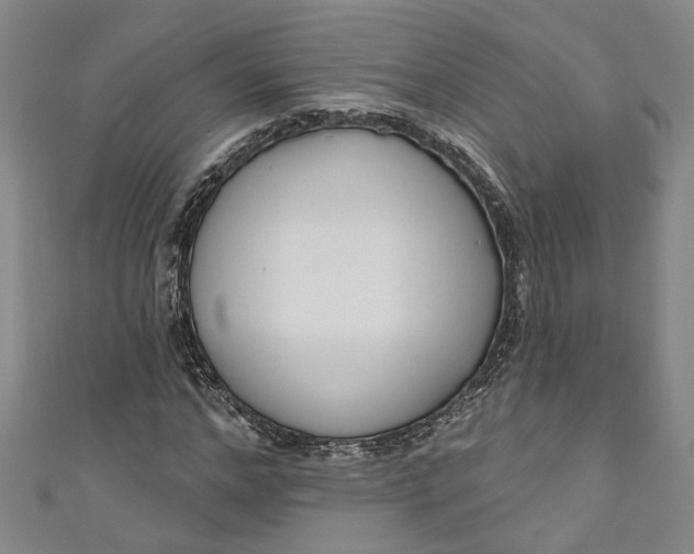 X0000111170968200907221025