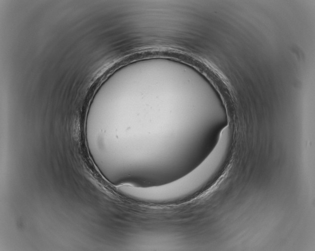 X0000111170969200907221025