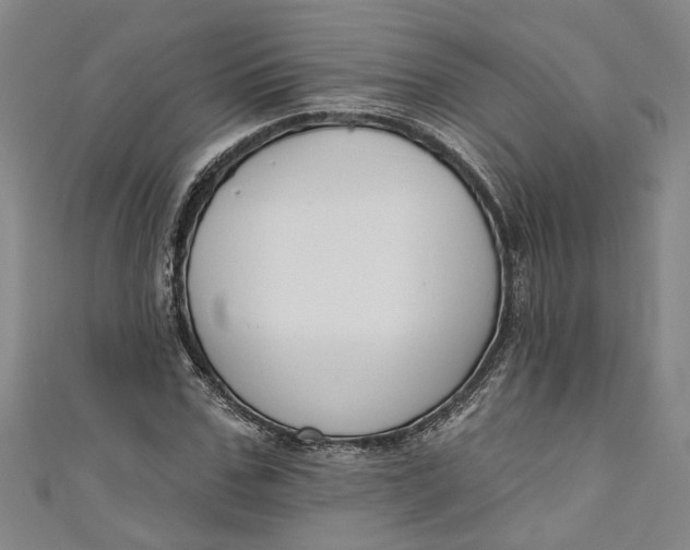 X0000111170971200907221025