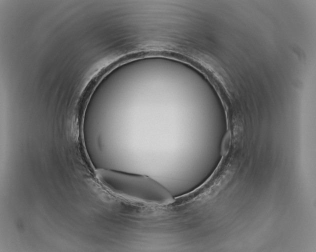 X0000111170973200907221025