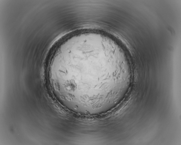 X0000111170975200907221024