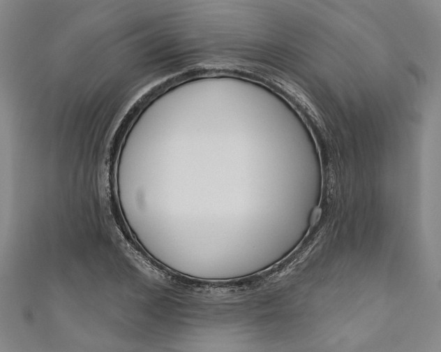 X0000111170976200907221024