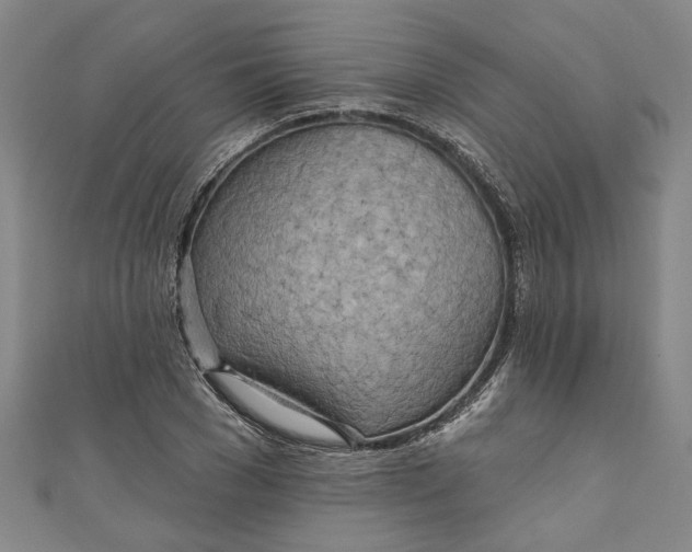 X0000111170977200907221024