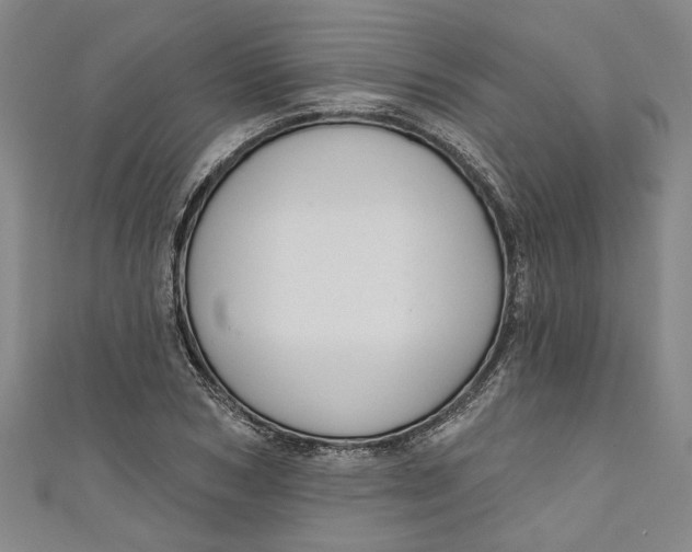 X0000111170978200907221024