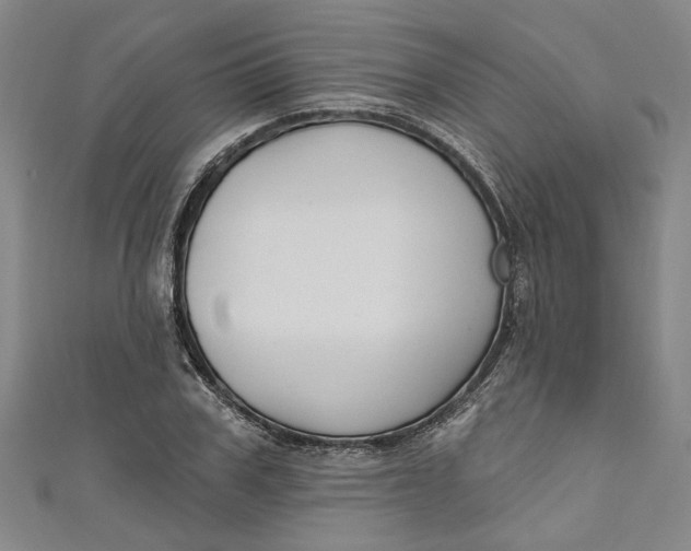 X0000111170979200907221024