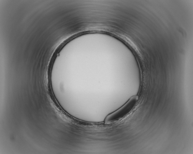 X0000111170980200907221024