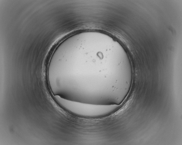 X0000111170981200907221024