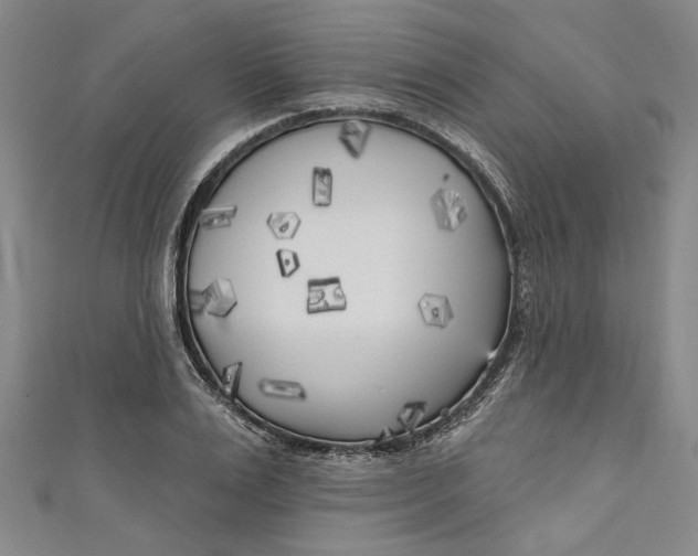 X0000111170983200907221024