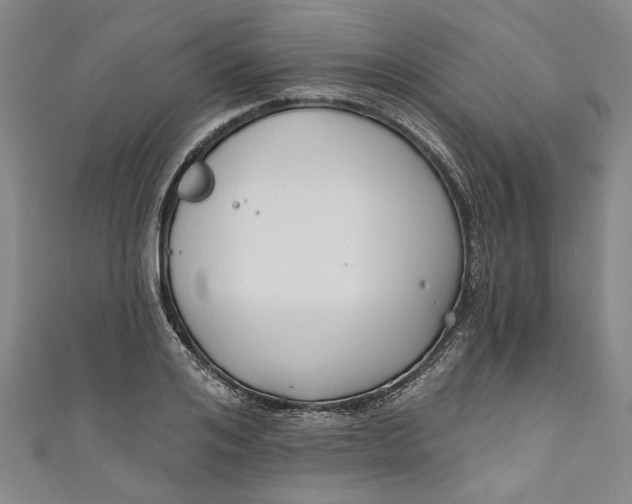 X0000111170984200907221024