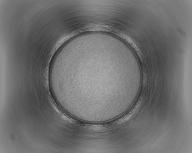 X0000111170986200907221024