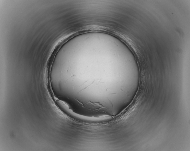 X0000111170987200907221024