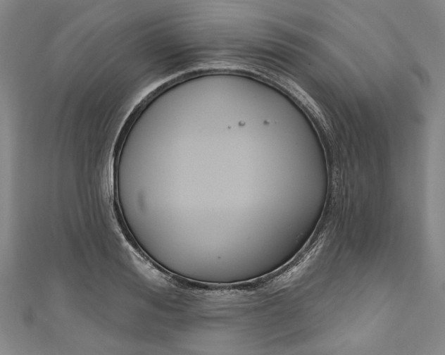 X0000111170988200907221024