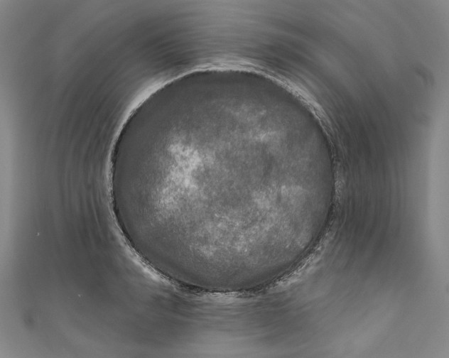 X0000111170990200907221024