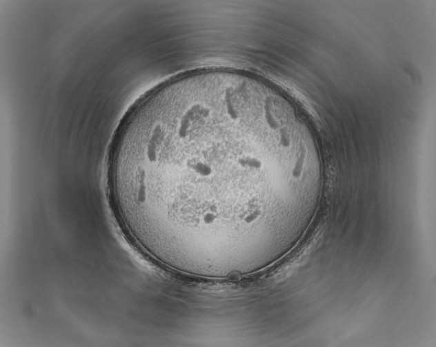 X0000111170991200907221024