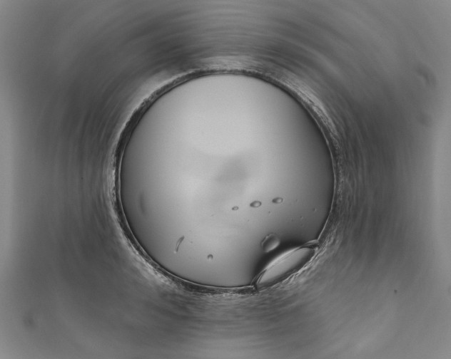 X0000111170992200907221024