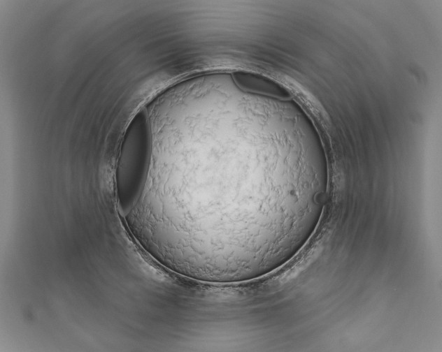 X0000111170993200907221024