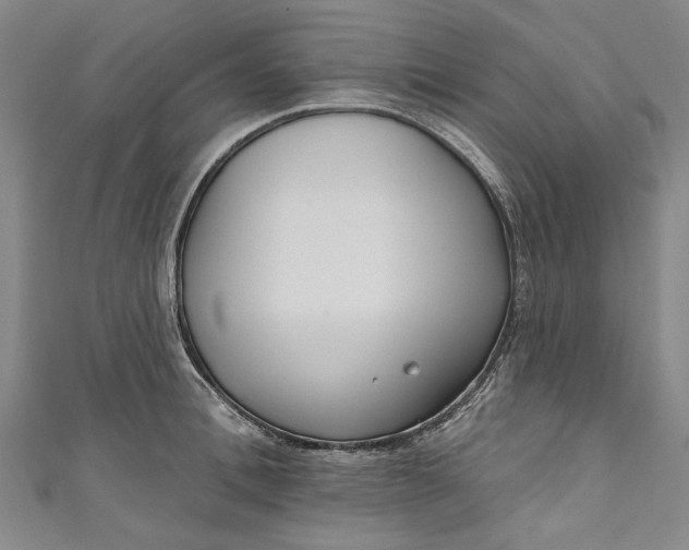 X0000111170996200907221024