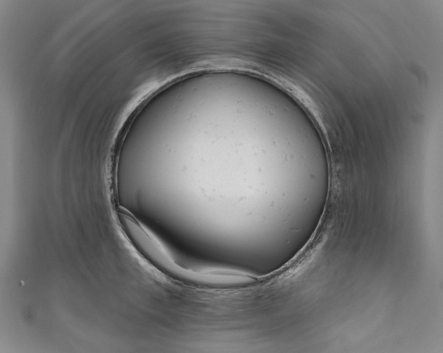 X0000111170997200907221024