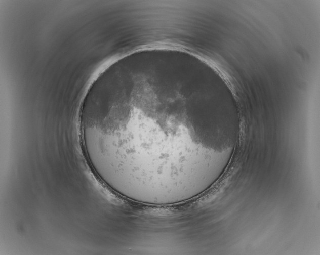 X0000111170998200907221024