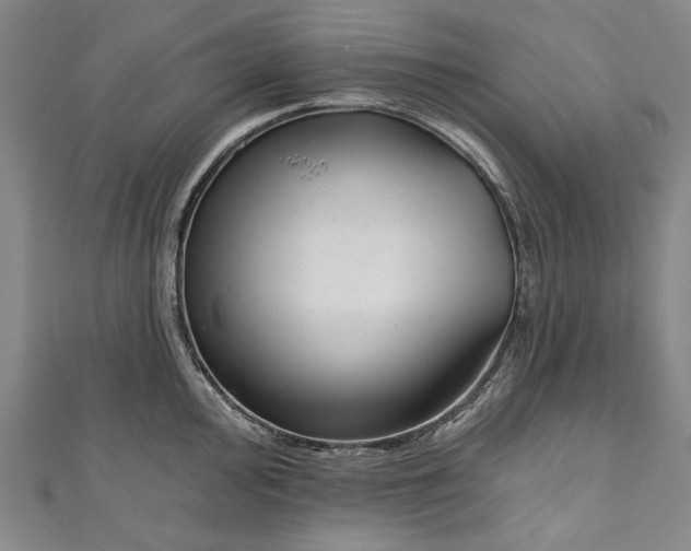 X0000111171000200907221024