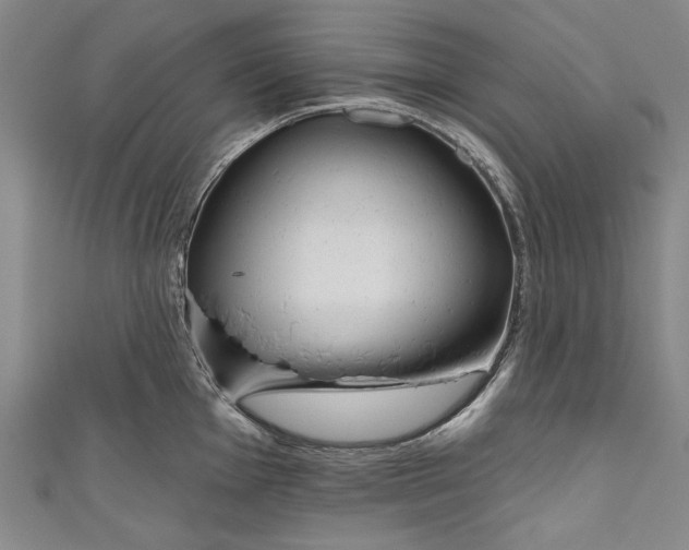 X0000111171001200907221024