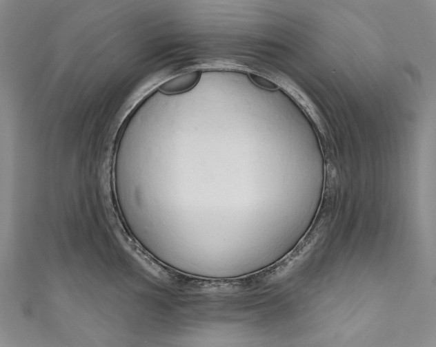 X0000111171002200907221024