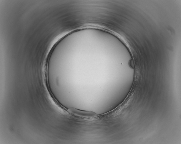 X0000111171003200907221024