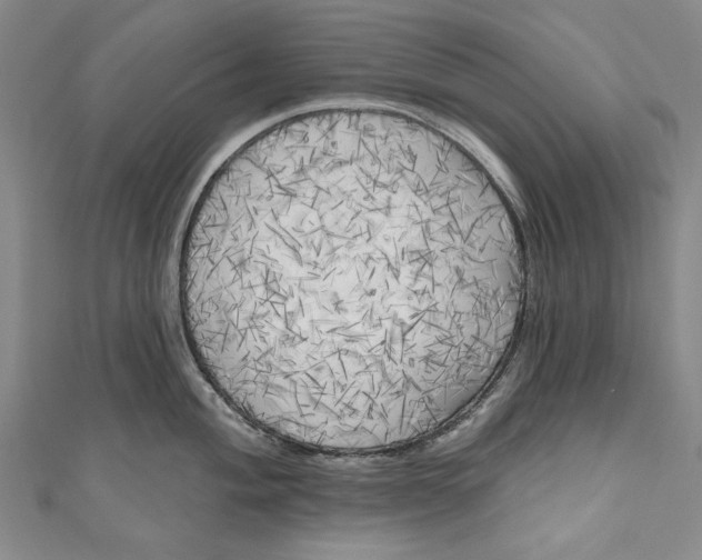 X0000111171004200907221024