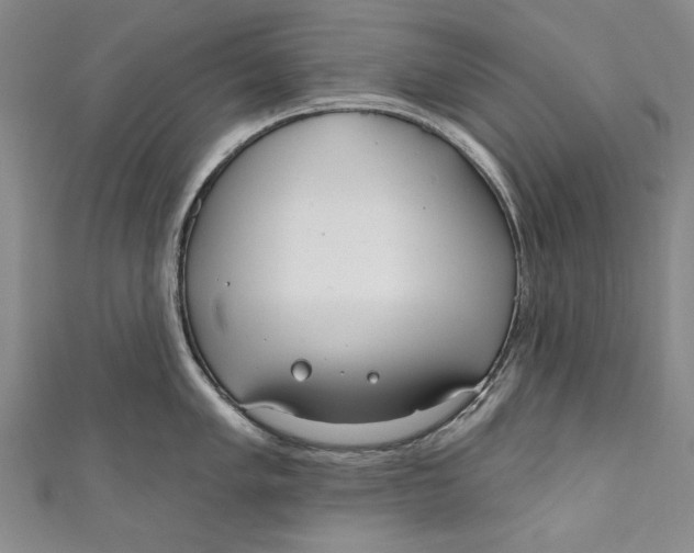 X0000111171005200907221024