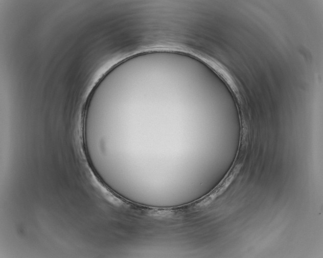 X0000111171006200907221024