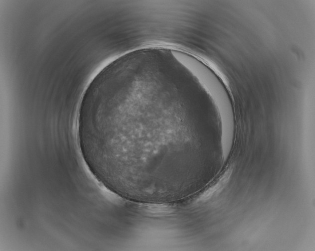 X0000111171007200907221024