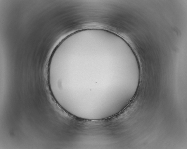 X0000111171008200907221024