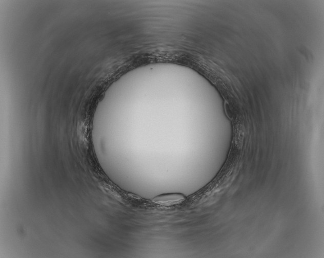 X0000111171010200907221023