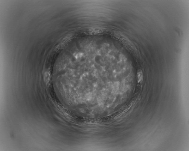 X0000111171011200907221023