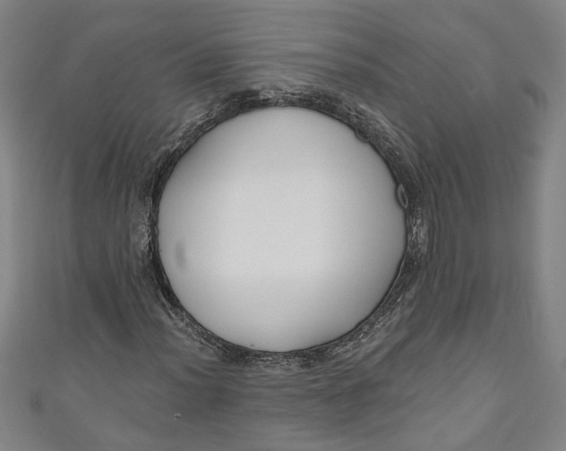 X0000111171012200907221023