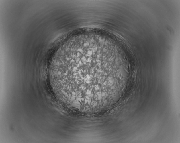 X0000111171014200907221024