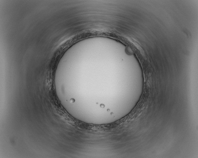 X0000111171015200907221024