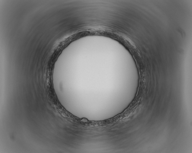 X0000111171016200907221024