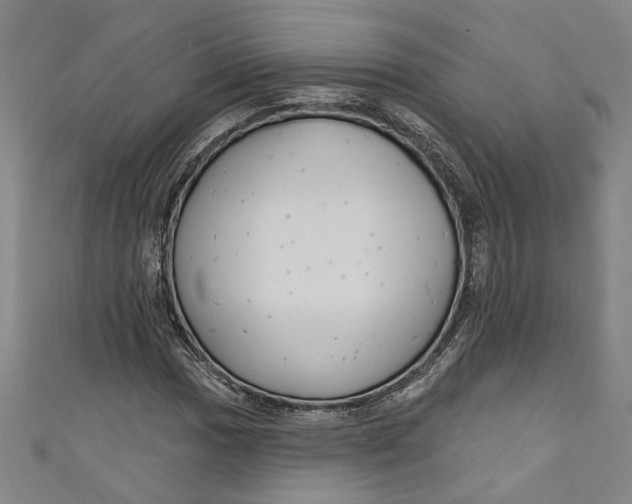 X0000111171017200907221024